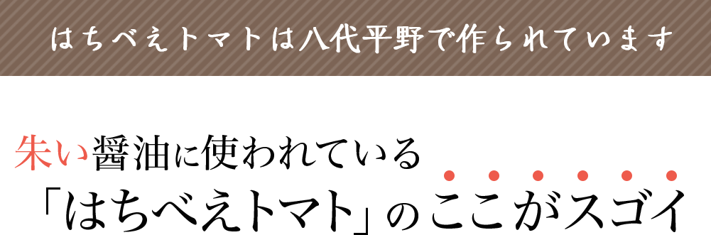 はちべえトマトは八代平野で作られています